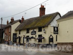 Picture of The Dukes