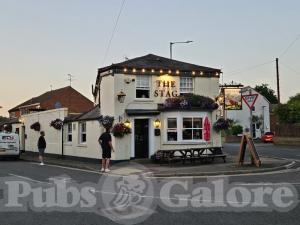 Picture of The Stag
