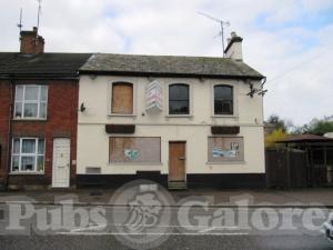 Picture of The White Lion