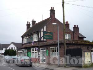 Picture of The Cricketers
