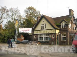 Picture of The Golden Lion