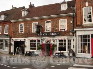 Picture of Black Horse
