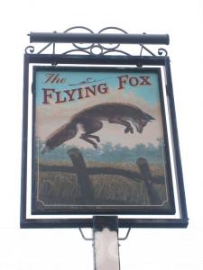 Picture of Flying Fox