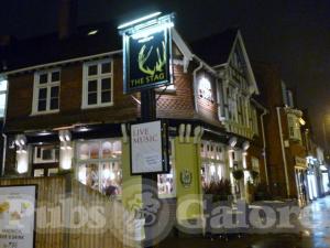 Picture of The Stag