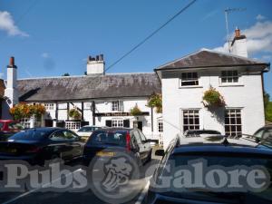 Picture of The Thatched Tavern