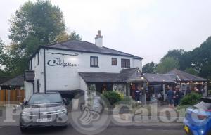 Picture of The Cricketers