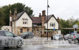 Picture of The Swan