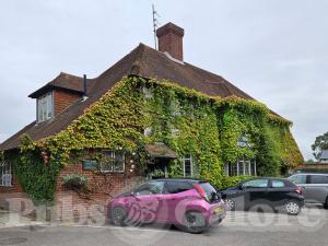 Picture of The Green Man