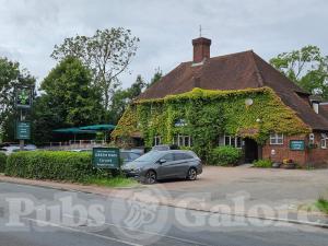 Picture of The Green Man