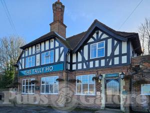 Picture of Tally Ho
