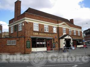 Picture of White Horse