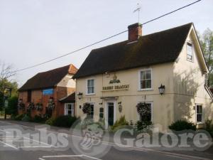 Picture of Green Dragon