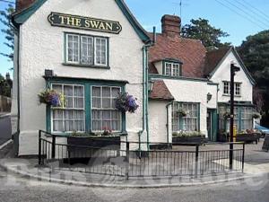 Picture of The Swan