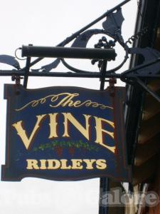 Picture of The Vine