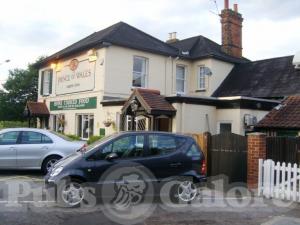 Picture of Prince of Wales