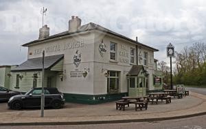 Picture of The White Horse