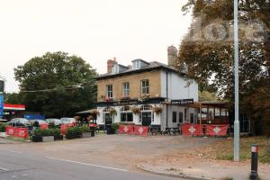 Picture of Warren Wood