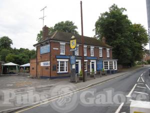 Picture of The Blue Lion