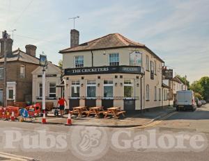 Picture of The Cricketers