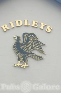 Picture of The Eagle