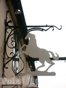Picture of White Horse