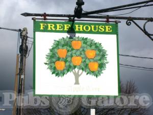 Picture of The Apple Tree