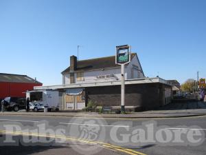 Picture of Black Bull