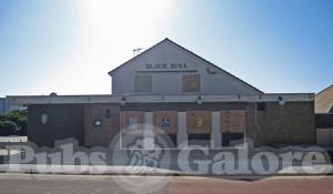 Picture of Black Bull