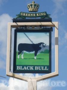 Picture of Black Bull