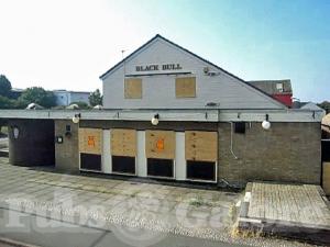 Picture of Black Bull