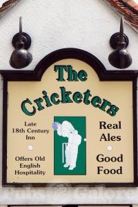 Picture of The Cricketers
