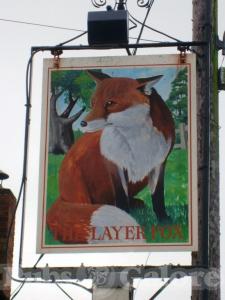 Picture of The Layer Fox