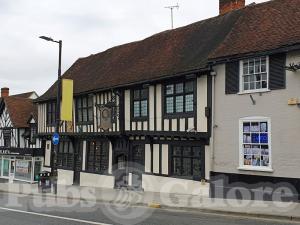 Picture of The Marquis