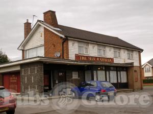 Picture of The Silver Oyster