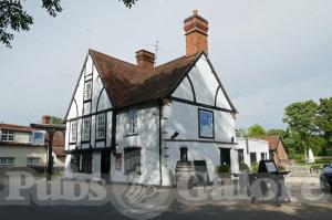 Picture of The Swan
