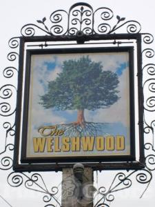 Picture of The Welshwood