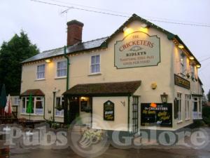 Picture of The Cricketers
