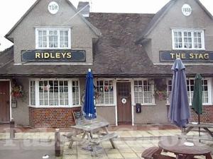 Picture of The Stag