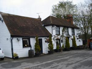 Picture of The Theydon Oak