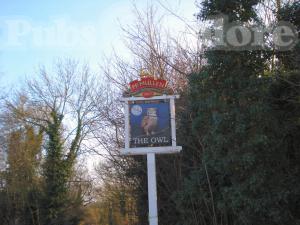 Picture of The Owl