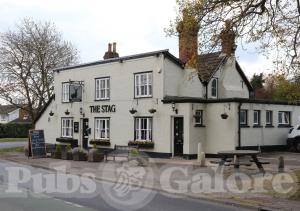 Picture of The Stag