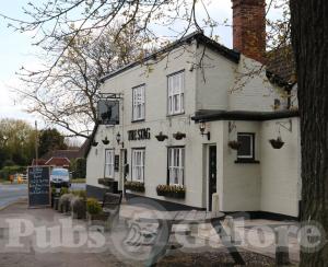 Picture of The Stag