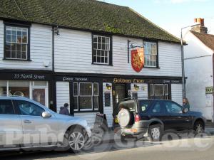Picture of The Golden Lion
