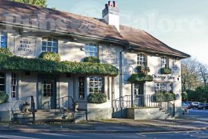 Picture of The Orange Tree