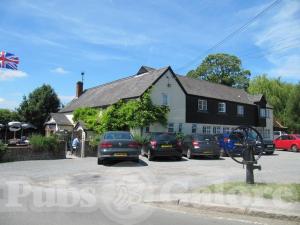 Picture of The Cricketers