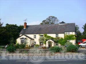 Picture of The Cricketers