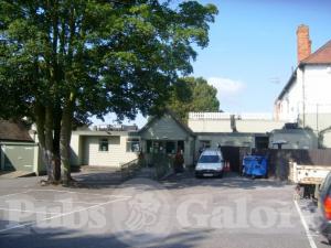 Picture of The Old Walnut Tree
