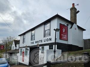 Picture of The White Lion