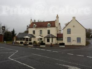 Picture of The Gloucester Old Spot