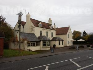 Picture of The Gloucester Old Spot